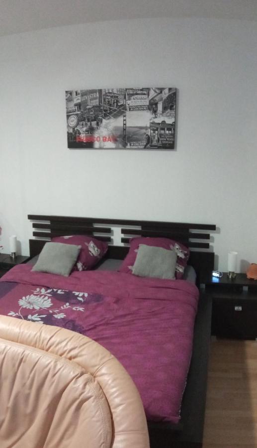 Charmant Studio Classe 3 Etoiles Au Coeur De Niederbronn-Les-Bains Eksteriør billede